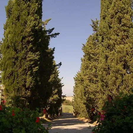San Francesco Amalia And Anna Orciatico
